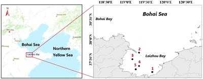 Selective feeding of the mullet larvae Liza haematocheila during ontogeny in Laizhou Bay, Bohai Sea, China: The importance of small copepods in mesozooplankton as prey